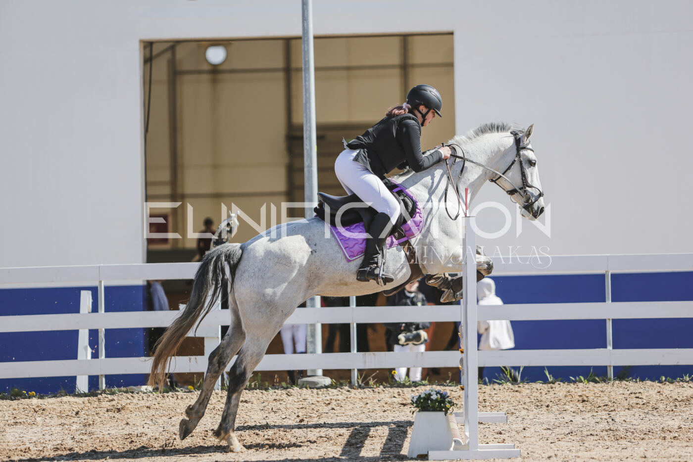Gramina_Kevad_2026_80_379
