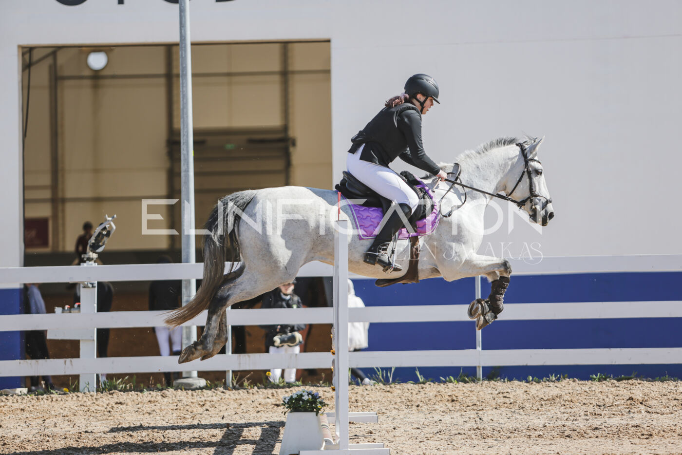 Gramina_Kevad_2026_80_382
