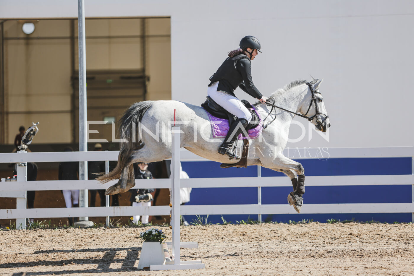 Gramina_Kevad_2026_80_383