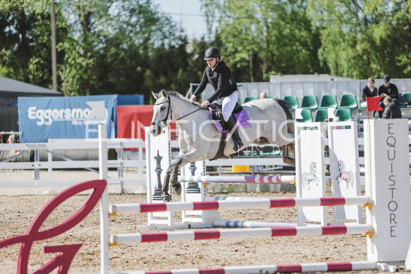 Gramina_Kevad_2026_80_386