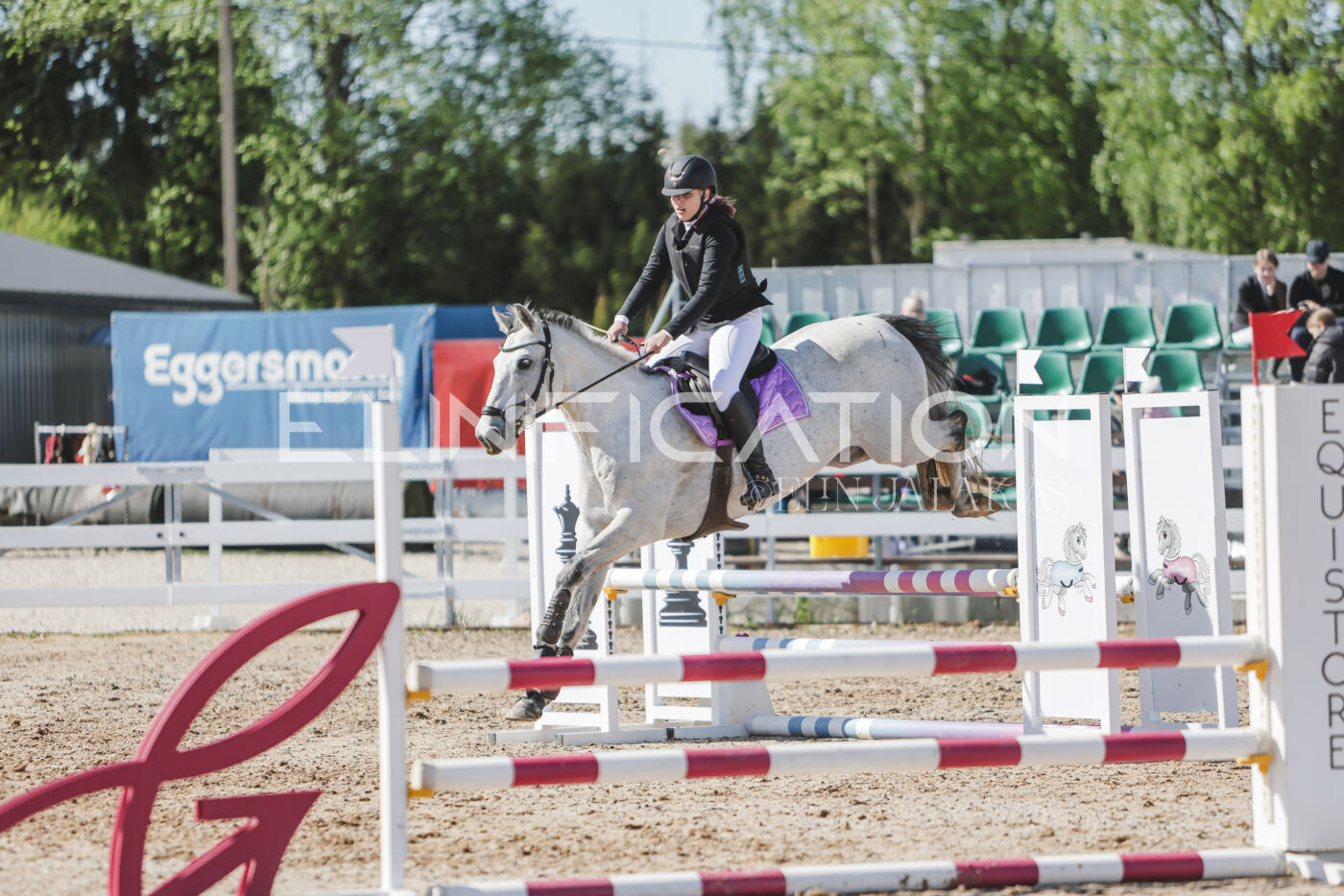 Gramina_Kevad_2026_80_387