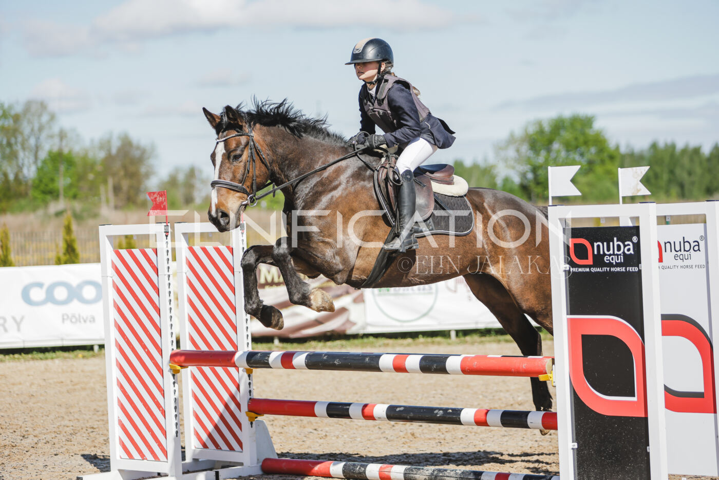 Gramina_Kevad_2026_80_390