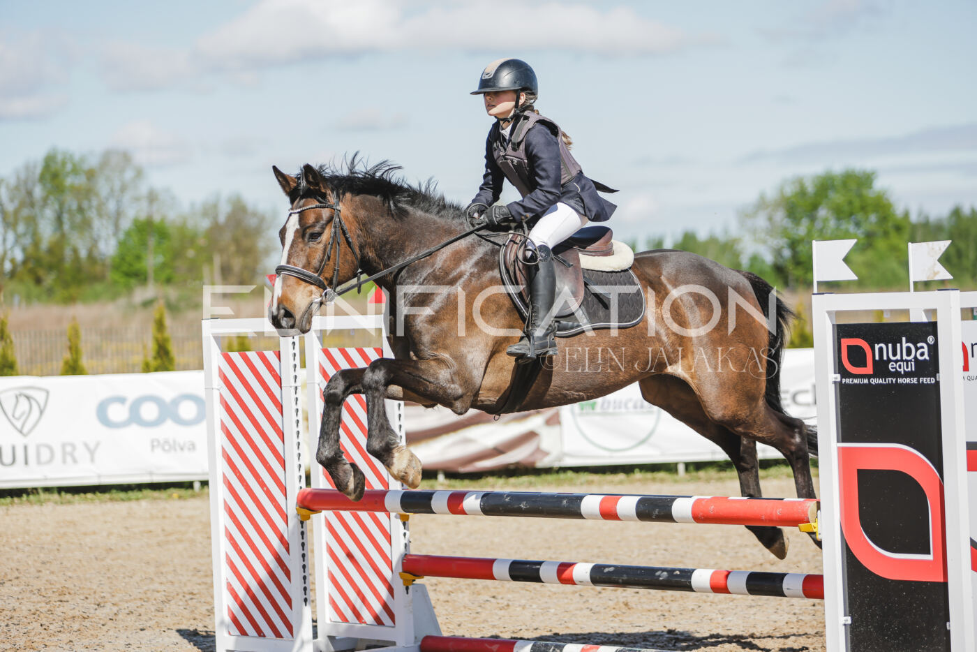 Gramina_Kevad_2026_80_391