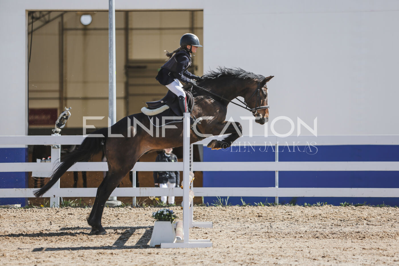 Gramina_Kevad_2026_80_401
