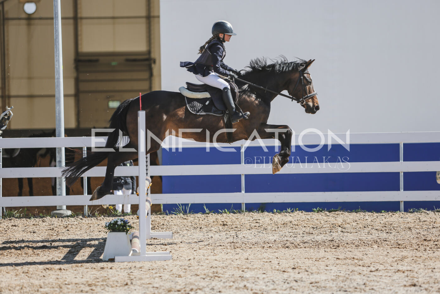 Gramina_Kevad_2026_80_404