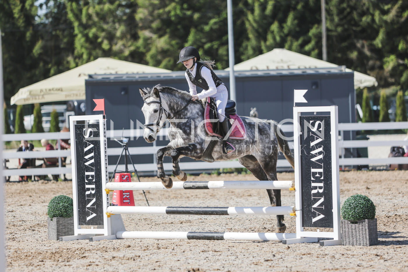 Gramina_Kevad_2026_80_406