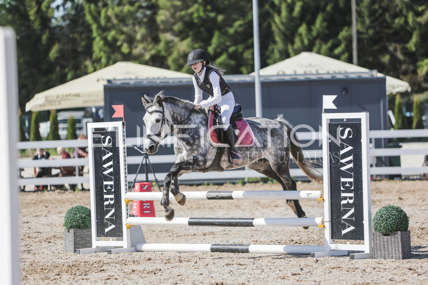 Gramina_Kevad_2026_80_407