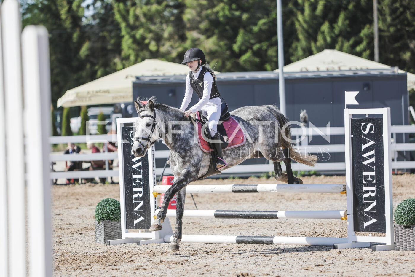 Gramina_Kevad_2026_80_409