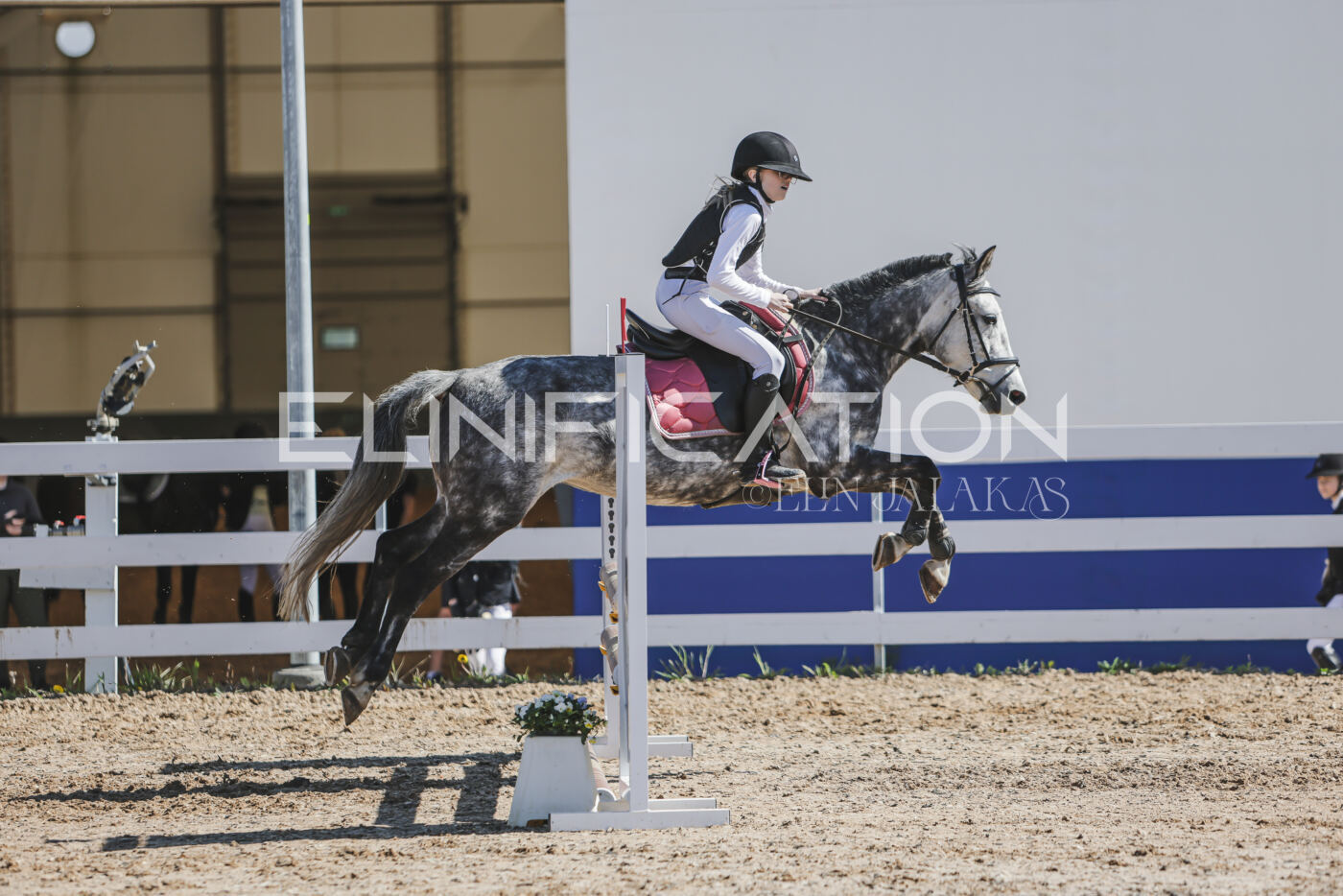 Gramina_Kevad_2026_80_423