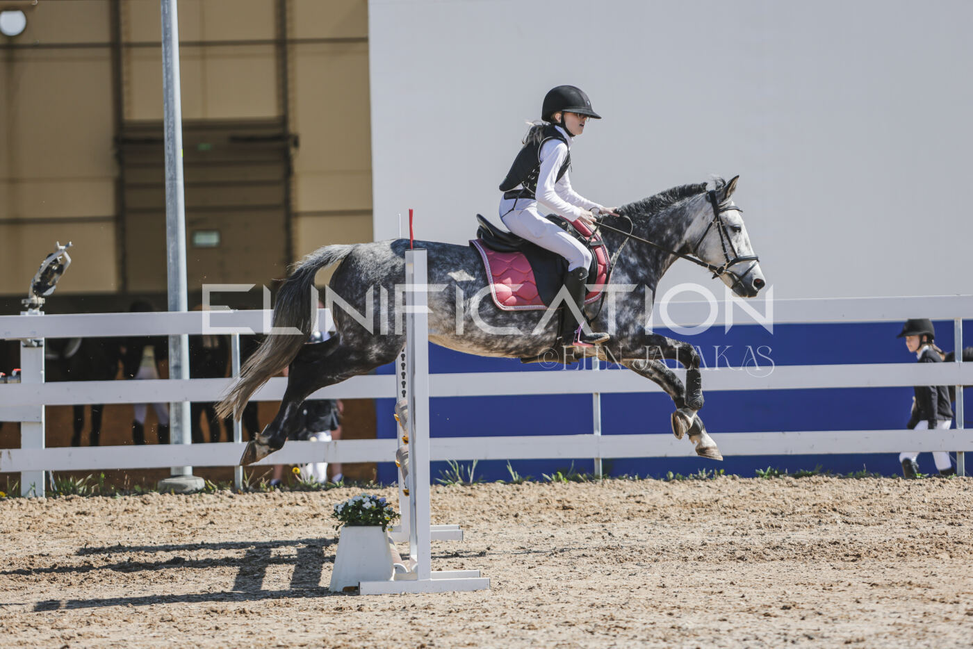 Gramina_Kevad_2026_80_424