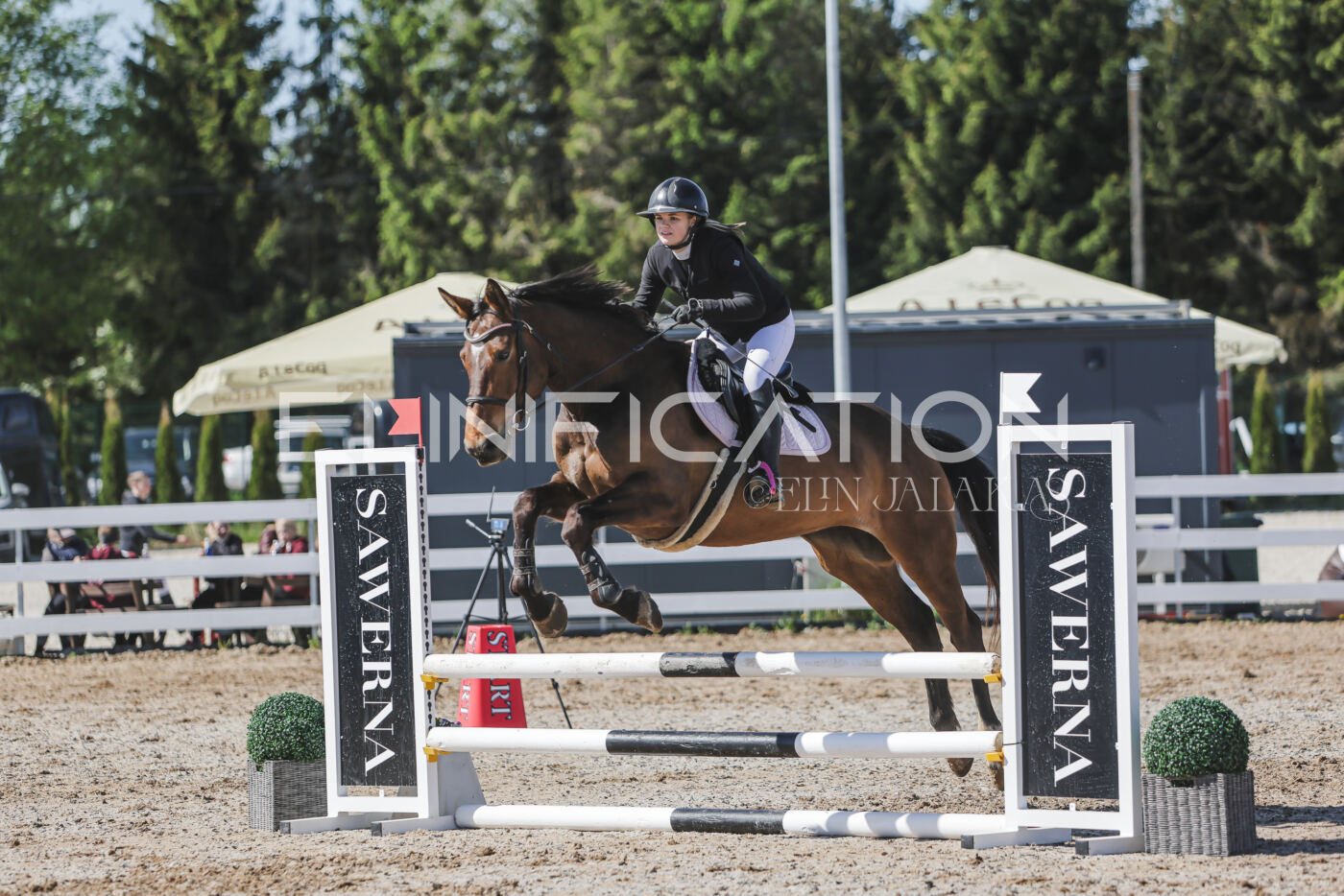 Gramina_Kevad_2026_80_428
