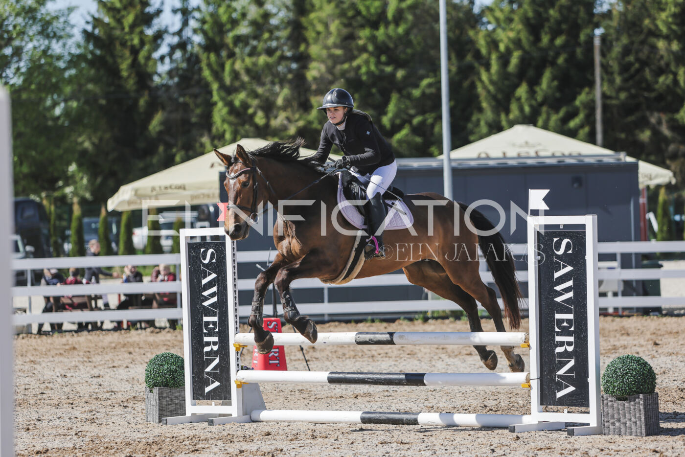 Gramina_Kevad_2026_80_429