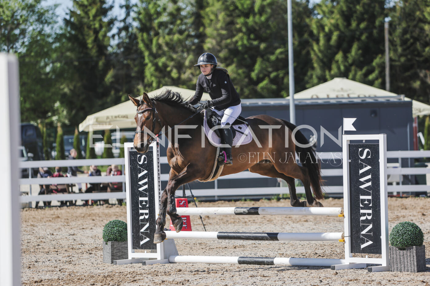 Gramina_Kevad_2026_80_430