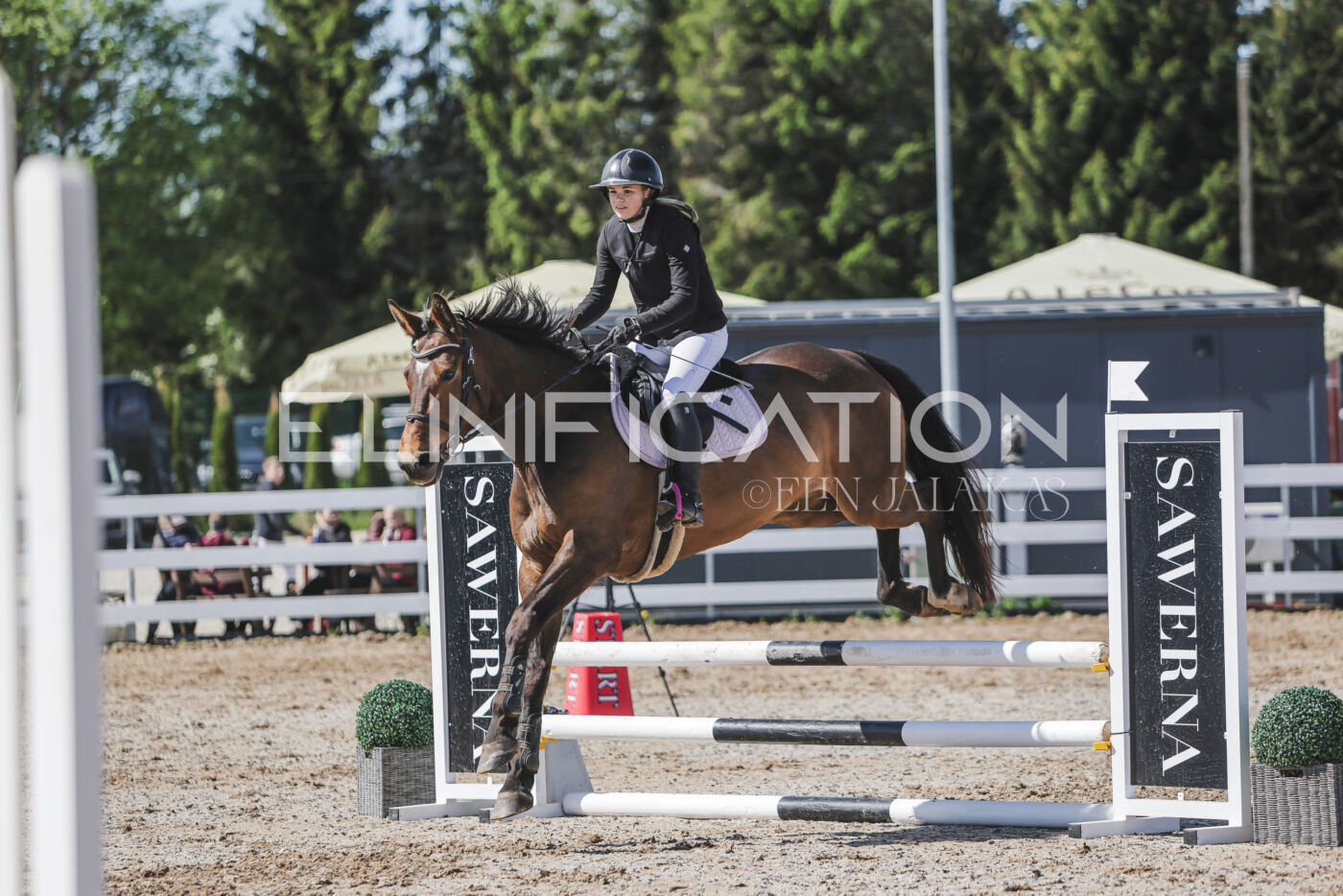 Gramina_Kevad_2026_80_431