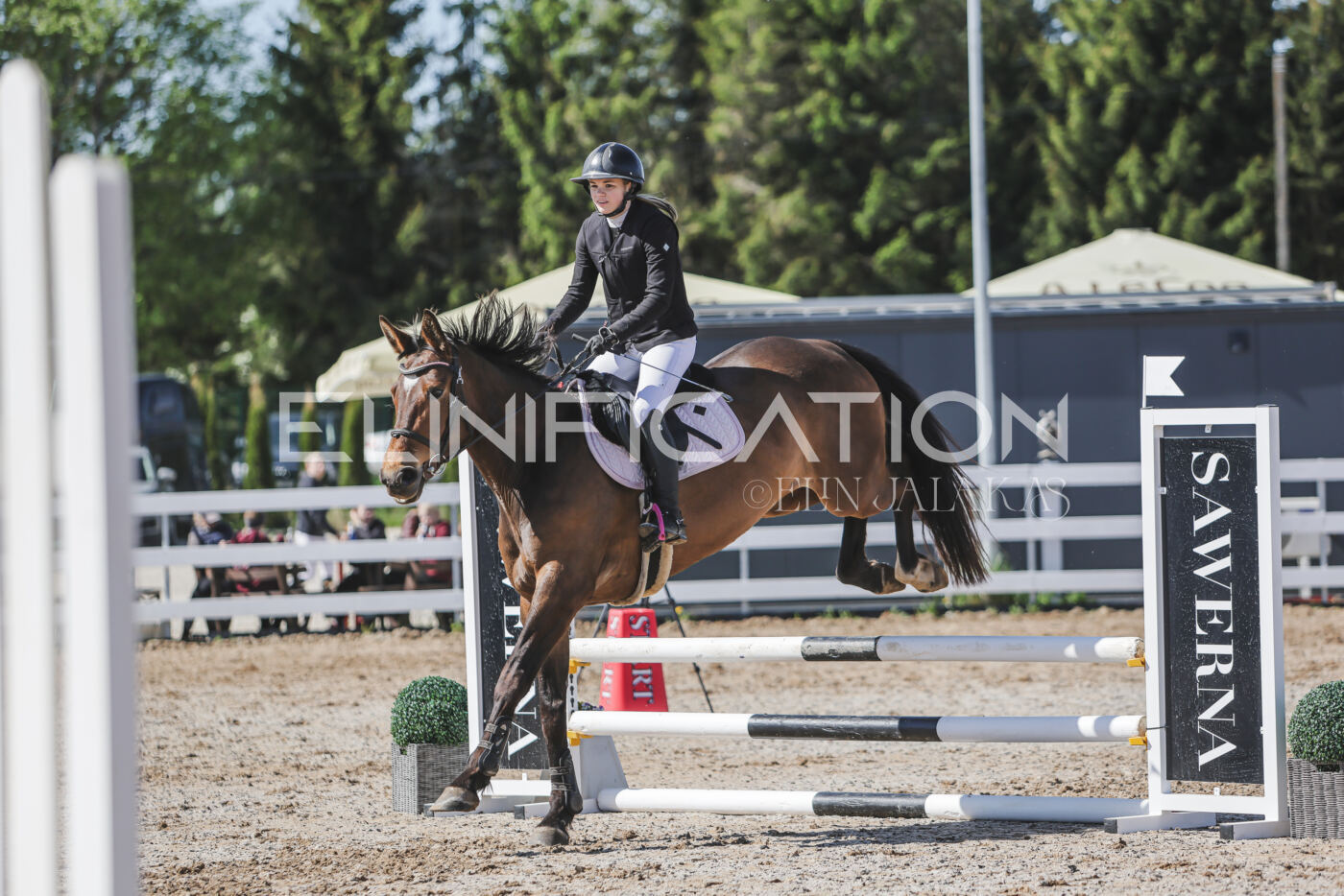 Gramina_Kevad_2026_80_432