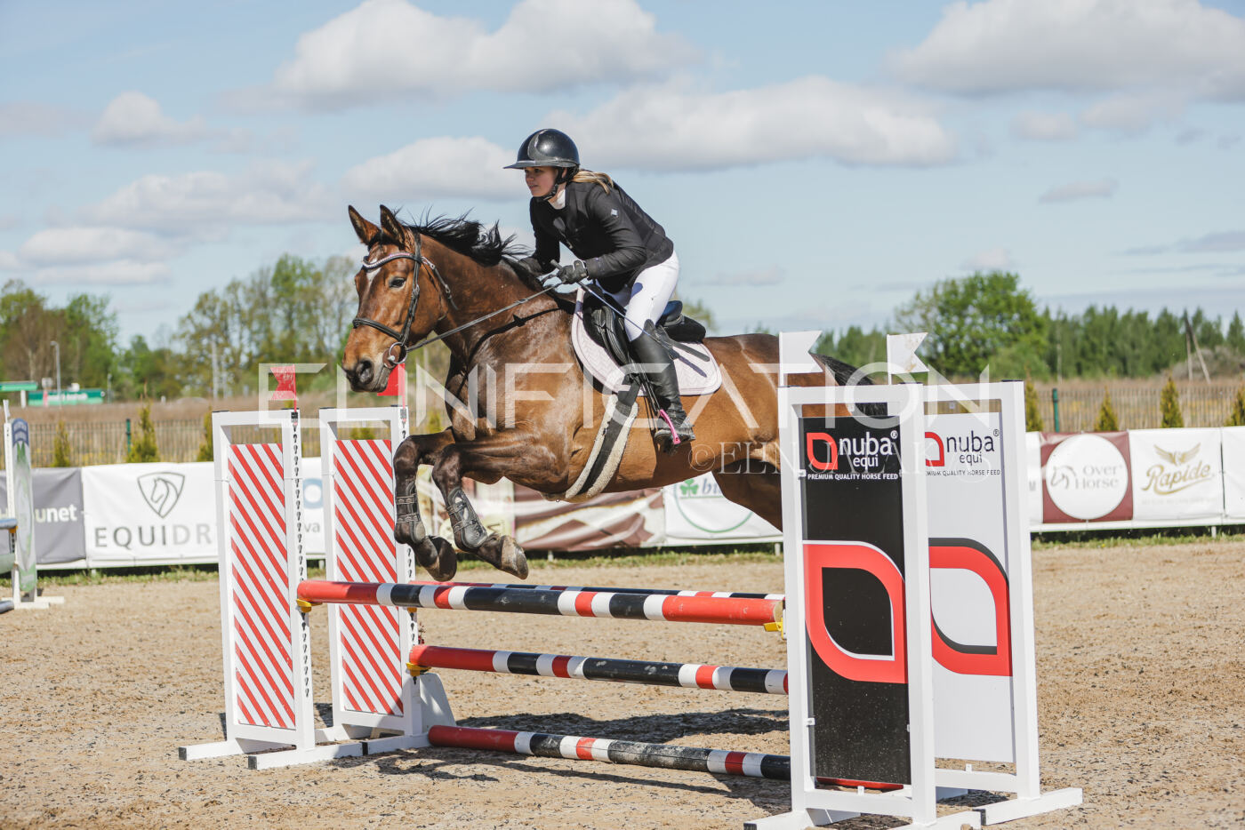 Gramina_Kevad_2026_80_434