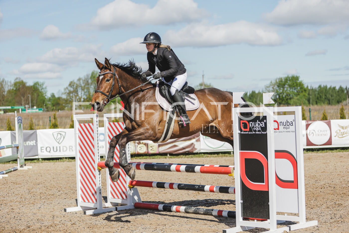 Gramina_Kevad_2026_80_435