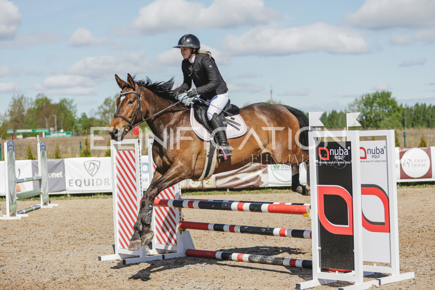 Gramina_Kevad_2026_80_436