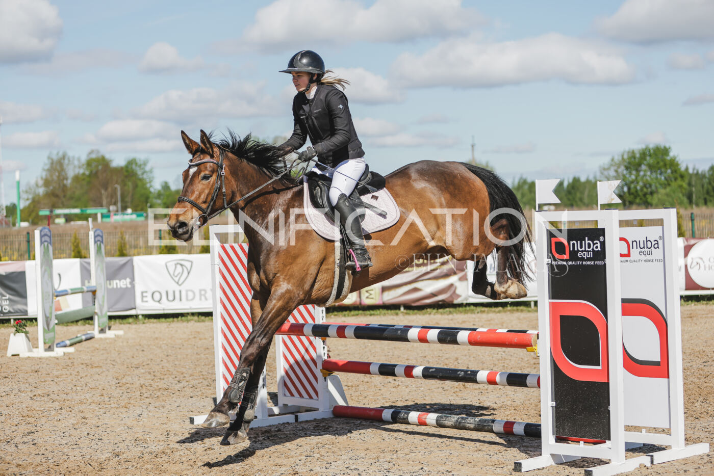 Gramina_Kevad_2026_80_437