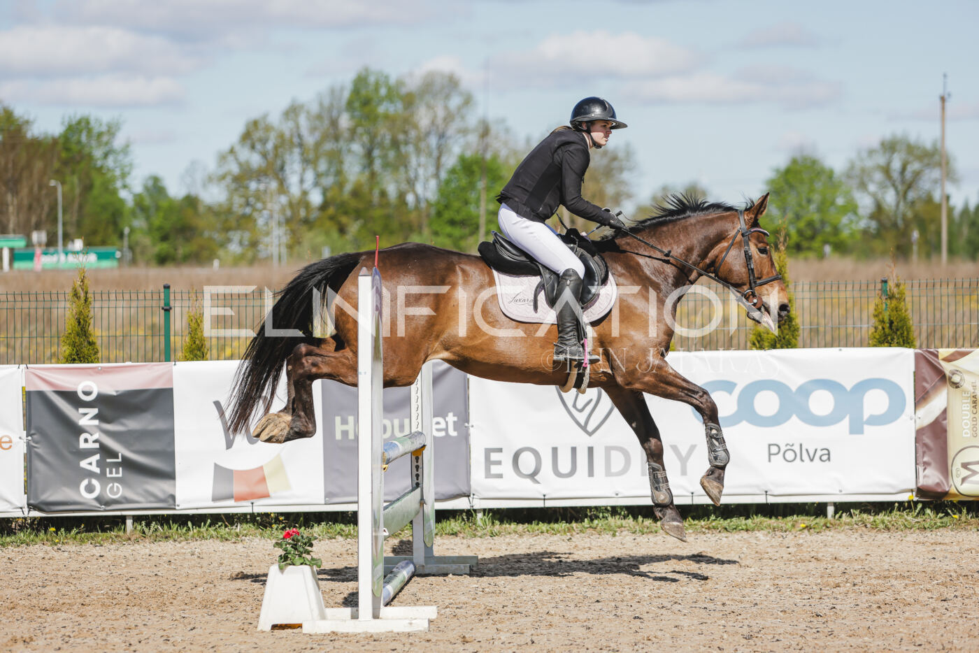 Gramina_Kevad_2026_80_443