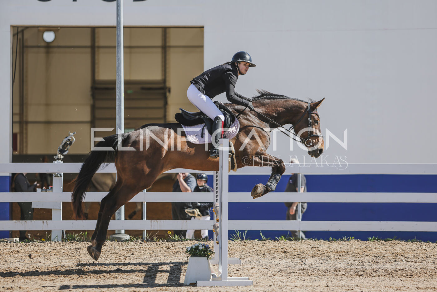Gramina_Kevad_2026_80_444