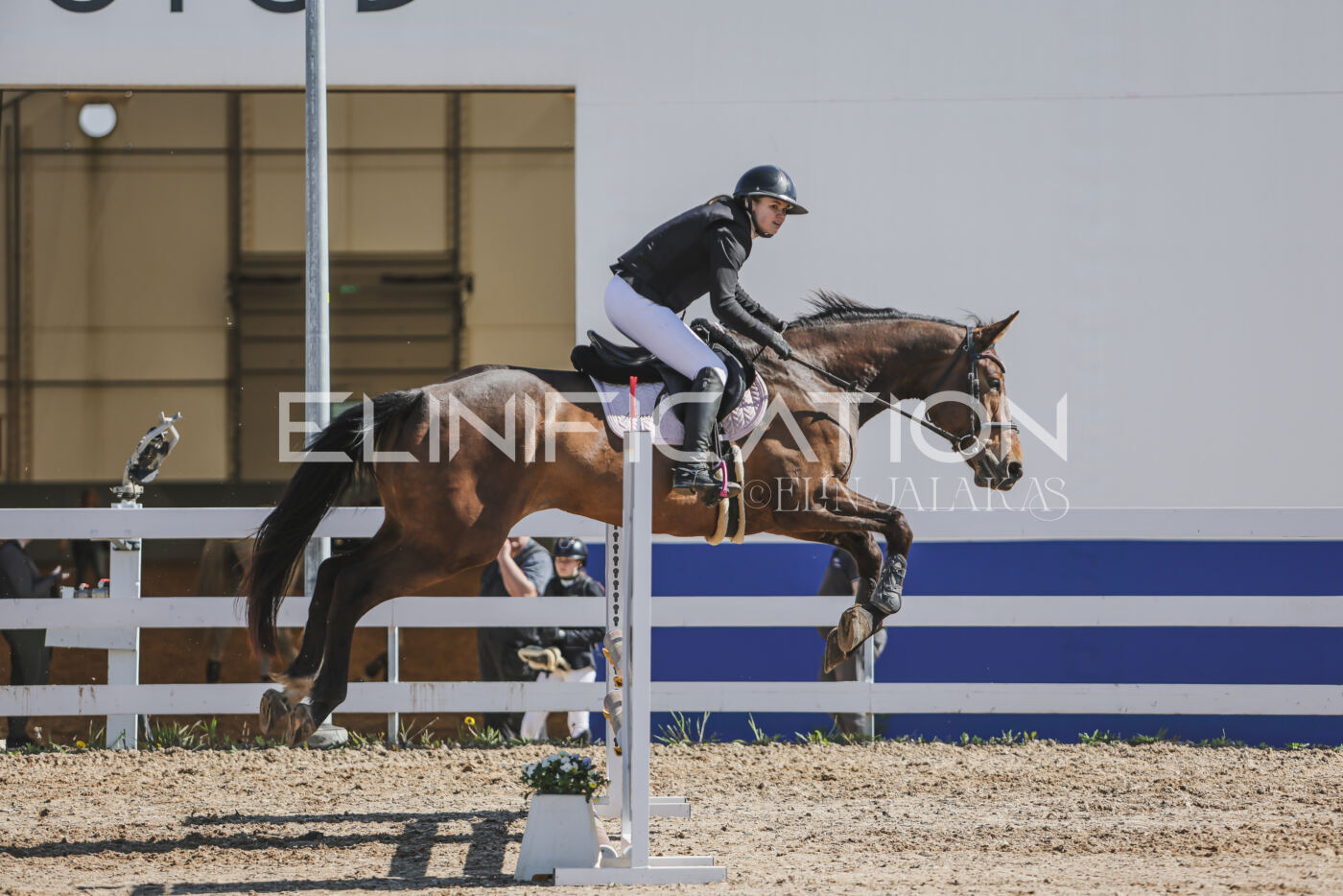 Gramina_Kevad_2026_80_445