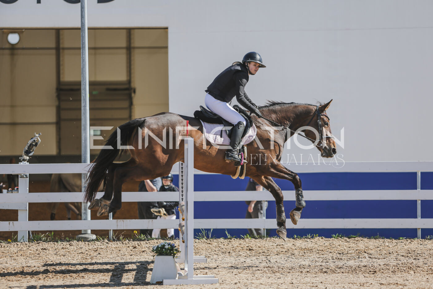 Gramina_Kevad_2026_80_446