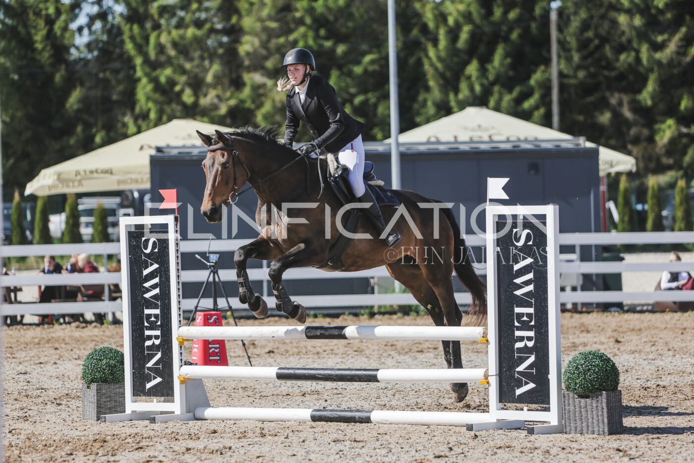 Gramina_Kevad_2026_80_448