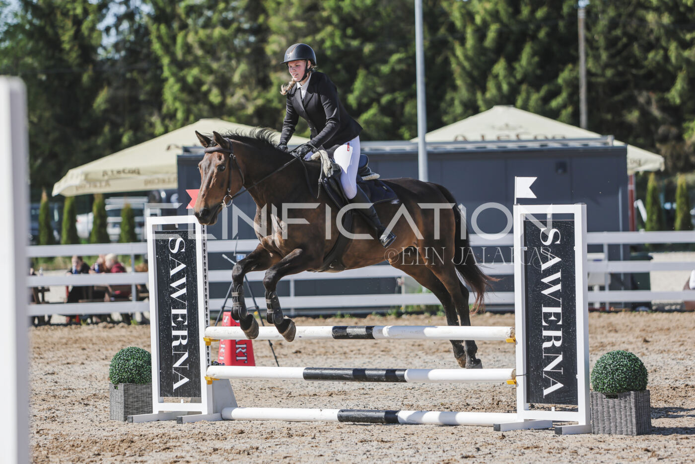 Gramina_Kevad_2026_80_449