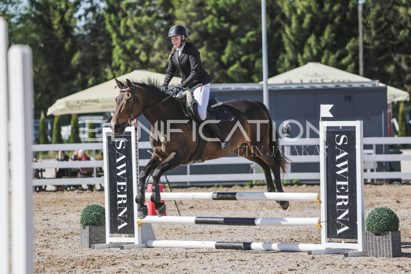 Gramina_Kevad_2026_80_450