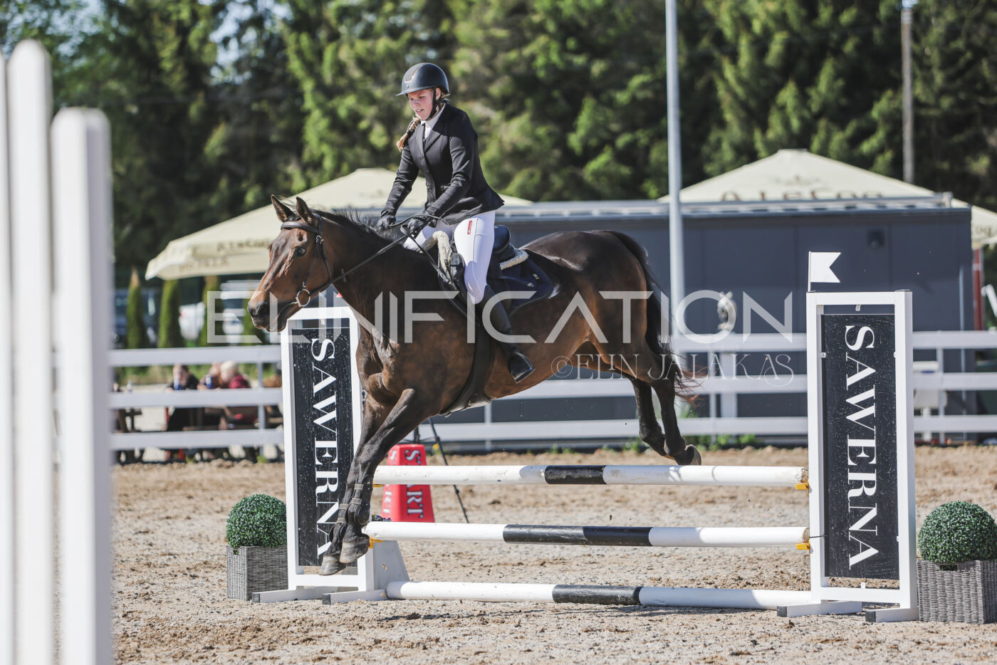 Gramina_Kevad_2026_80_451