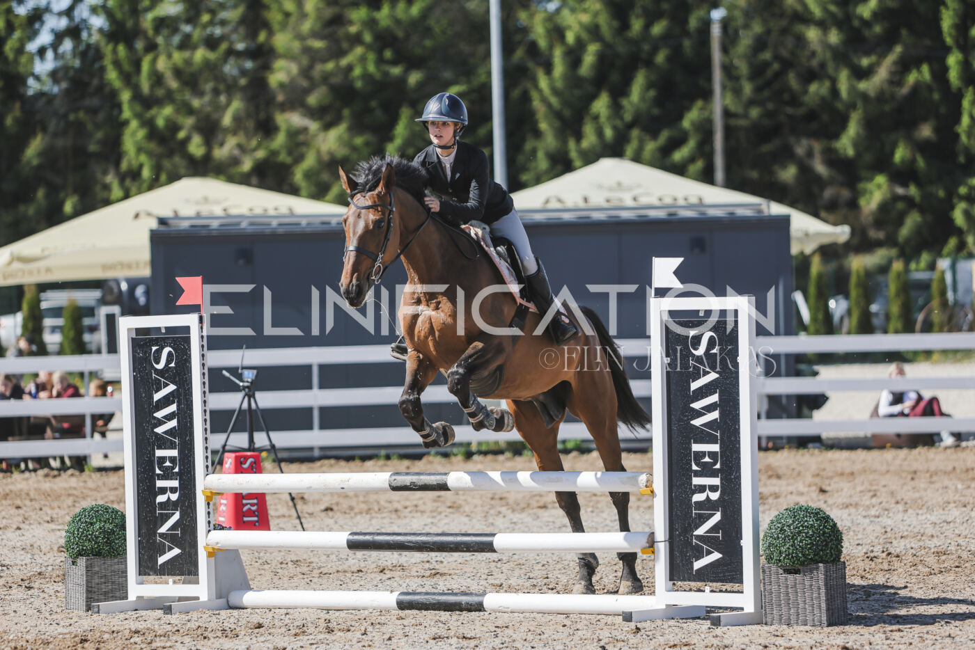 Gramina_Kevad_2026_80_452