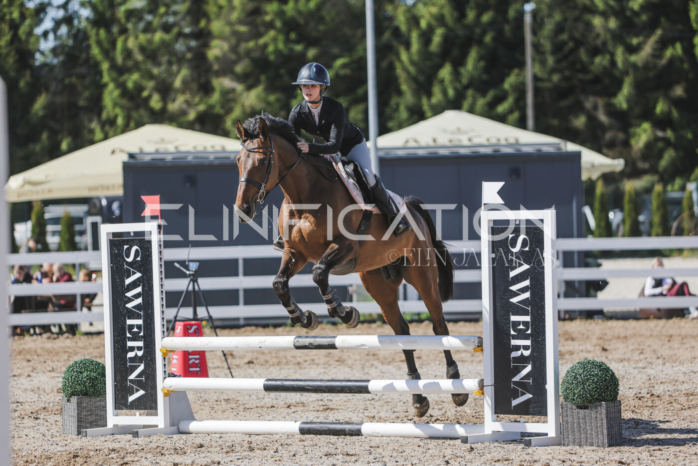 Gramina_Kevad_2026_80_453