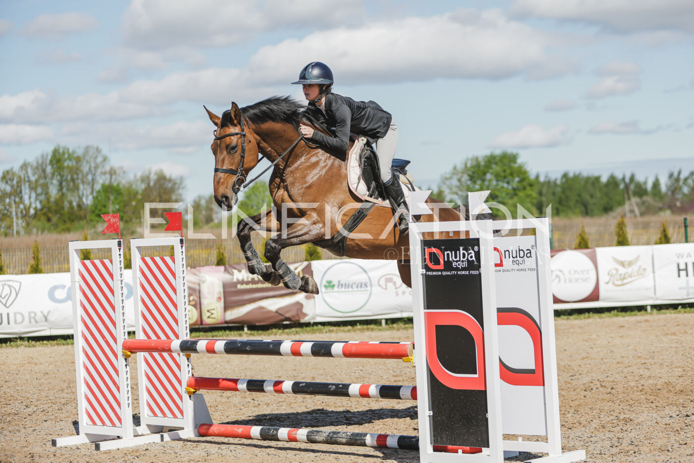 Gramina_Kevad_2026_80_456