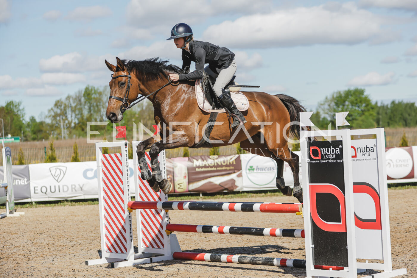 Gramina_Kevad_2026_80_459