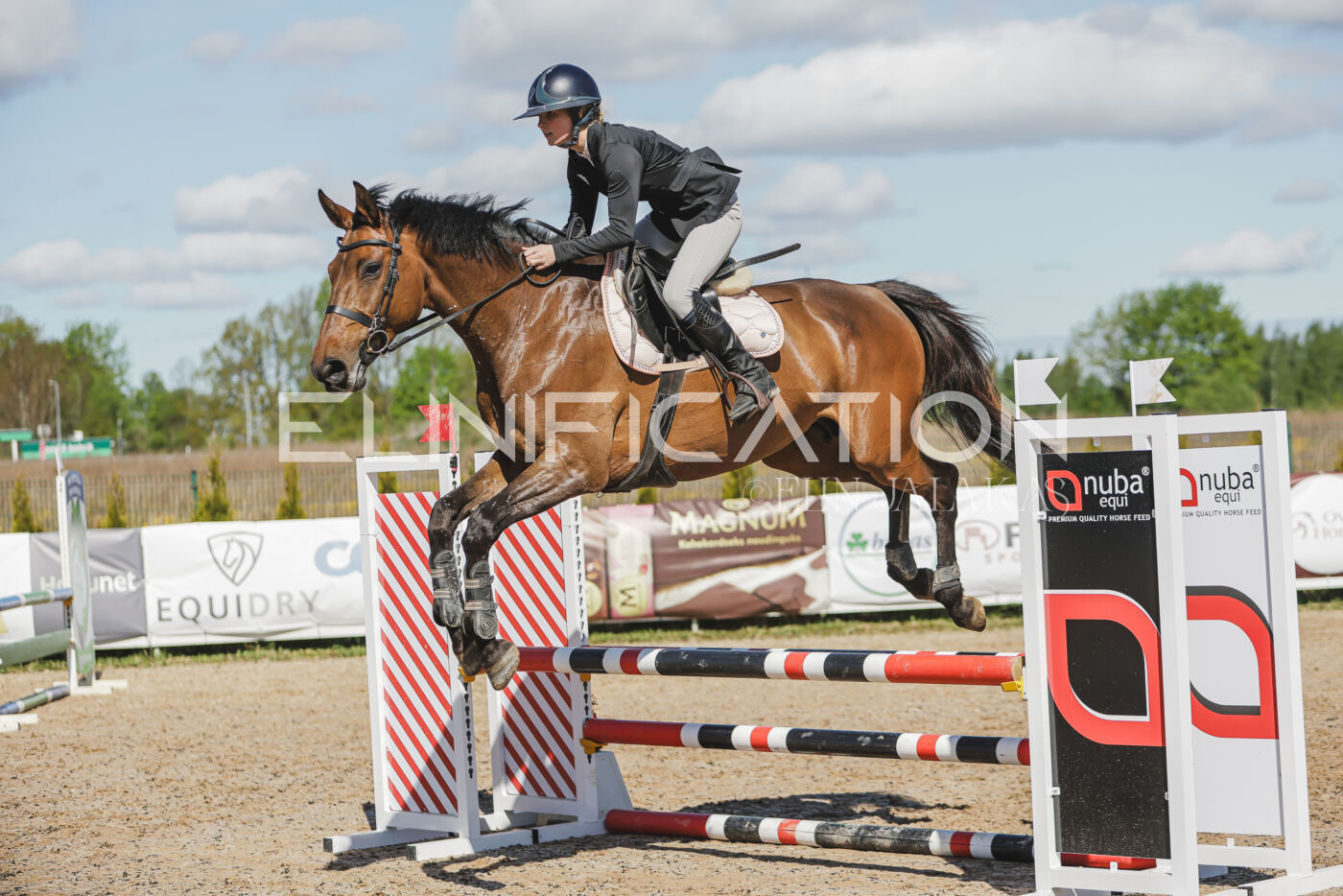 Gramina_Kevad_2026_80_460