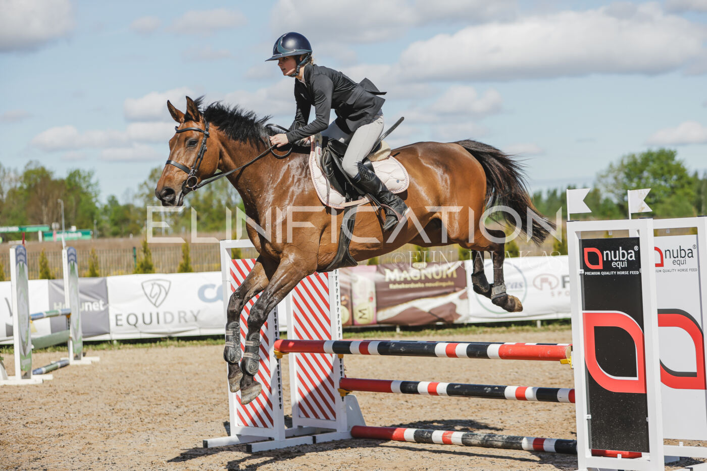 Gramina_Kevad_2026_80_461