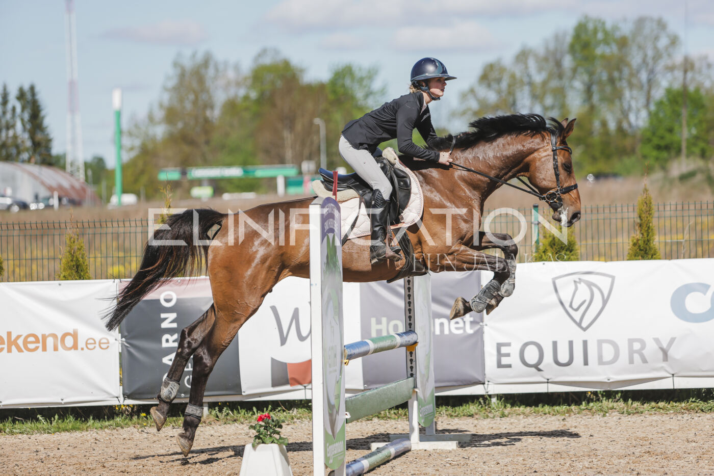 Gramina_Kevad_2026_80_469