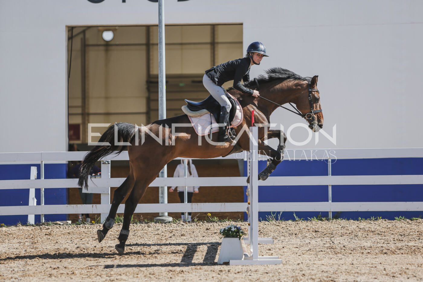 Gramina_Kevad_2026_80_470