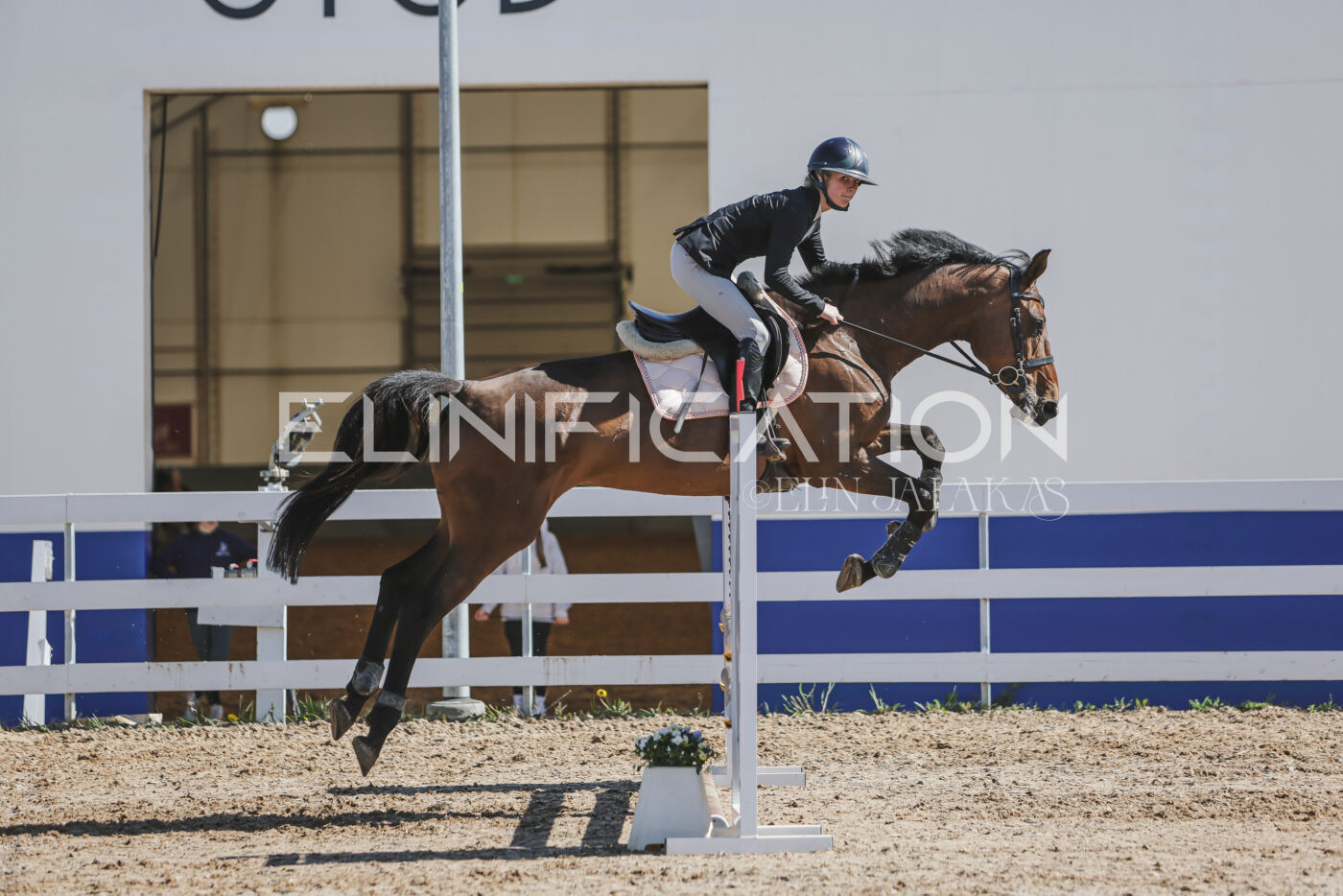 Gramina_Kevad_2026_80_471