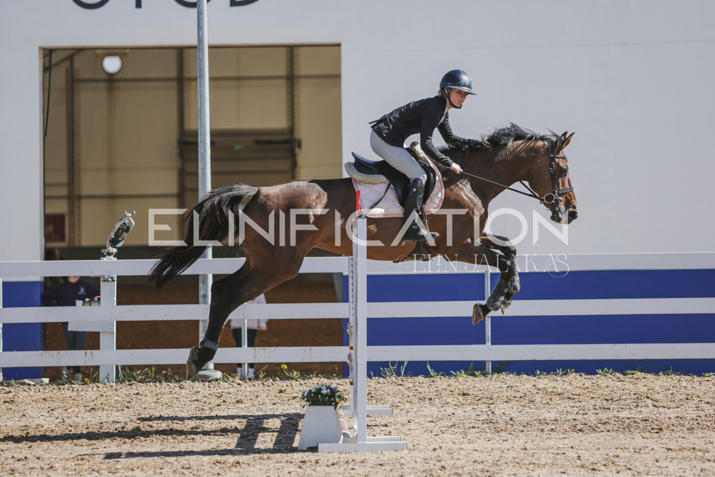 Gramina_Kevad_2026_80_472