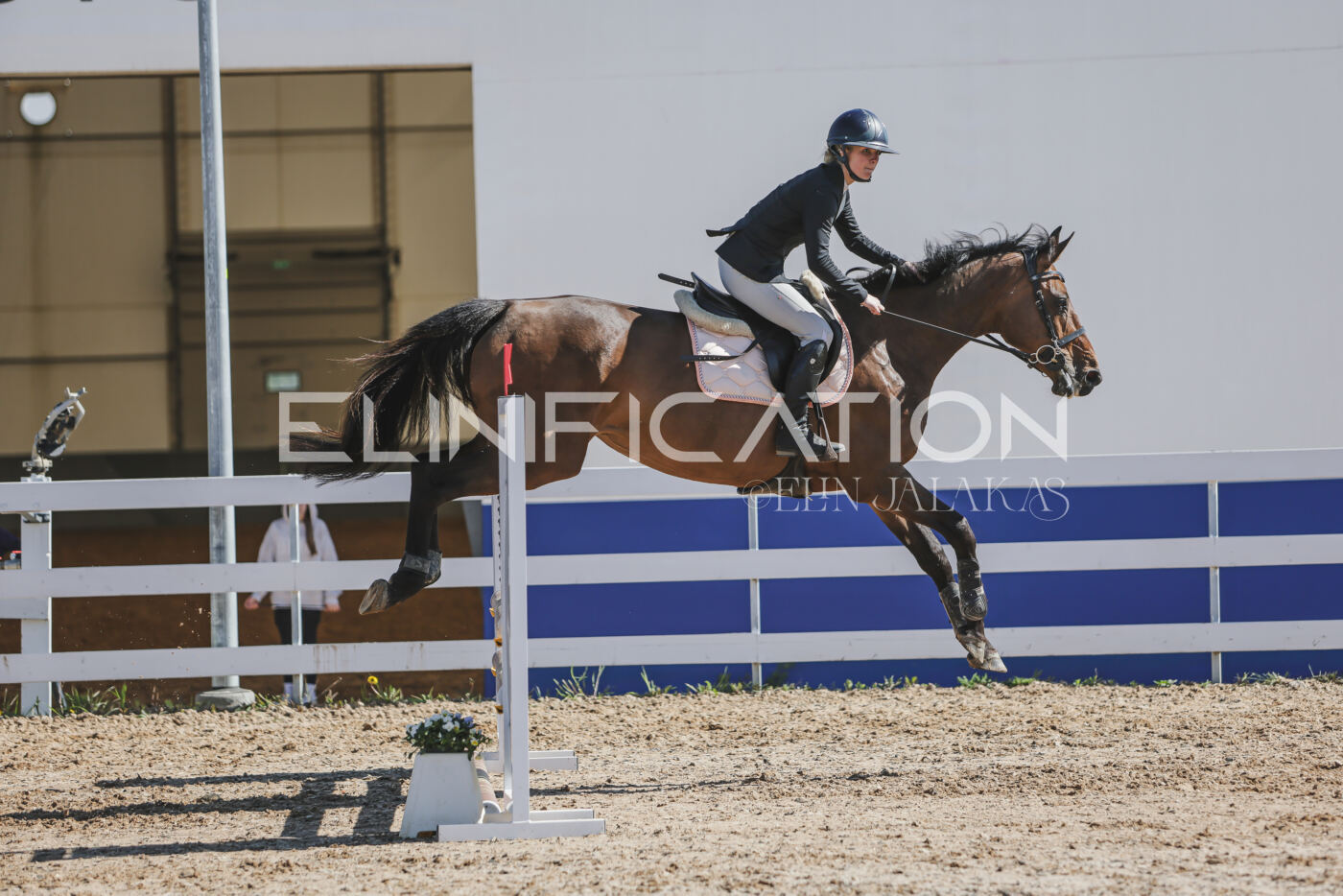 Gramina_Kevad_2026_80_474