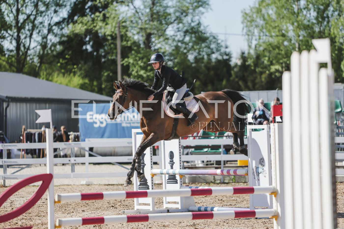 Gramina_Kevad_2026_80_475
