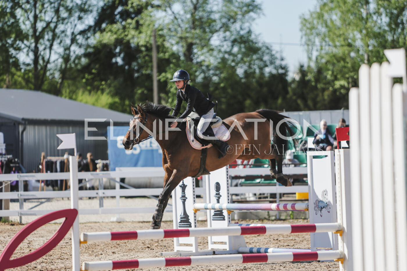 Gramina_Kevad_2026_80_476