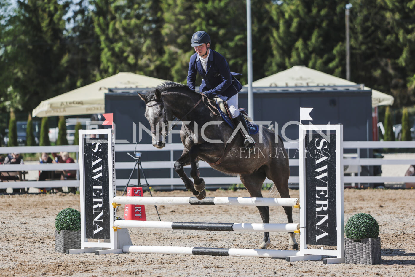 Gramina_Kevad_2026_80_477