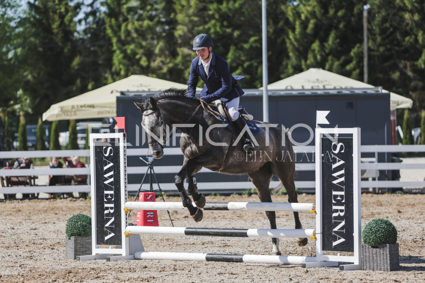 Gramina_Kevad_2026_80_478