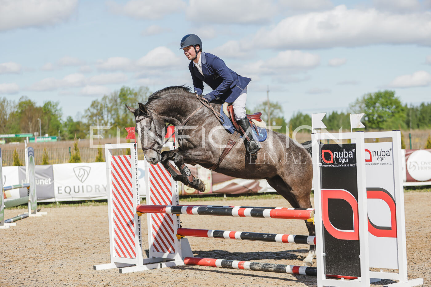 Gramina_Kevad_2026_80_480