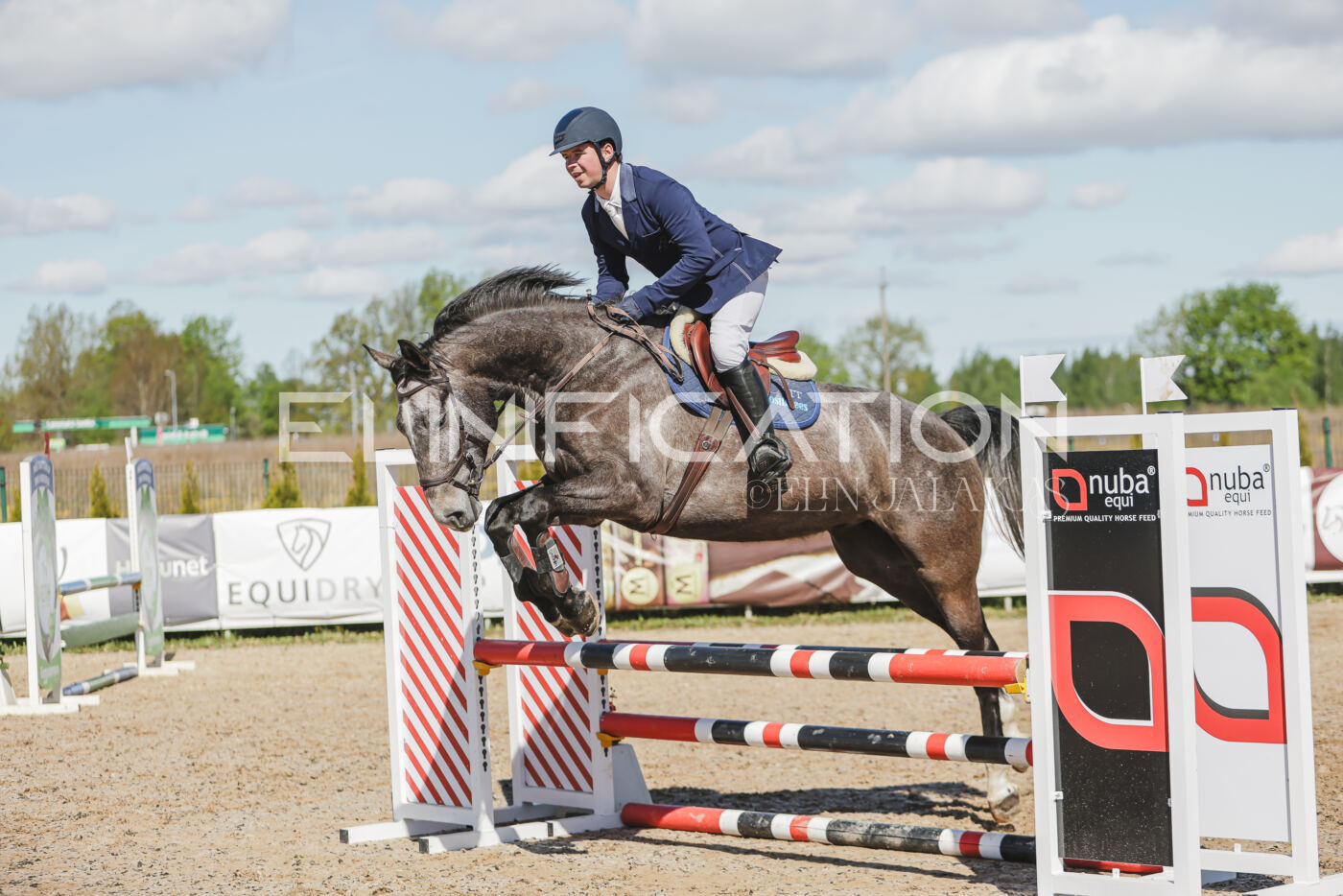 Gramina_Kevad_2026_80_481