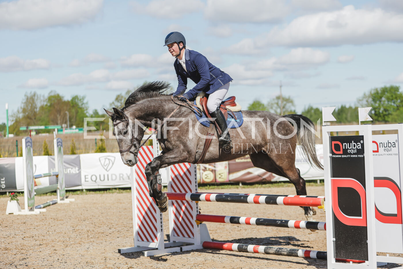 Gramina_Kevad_2026_80_482