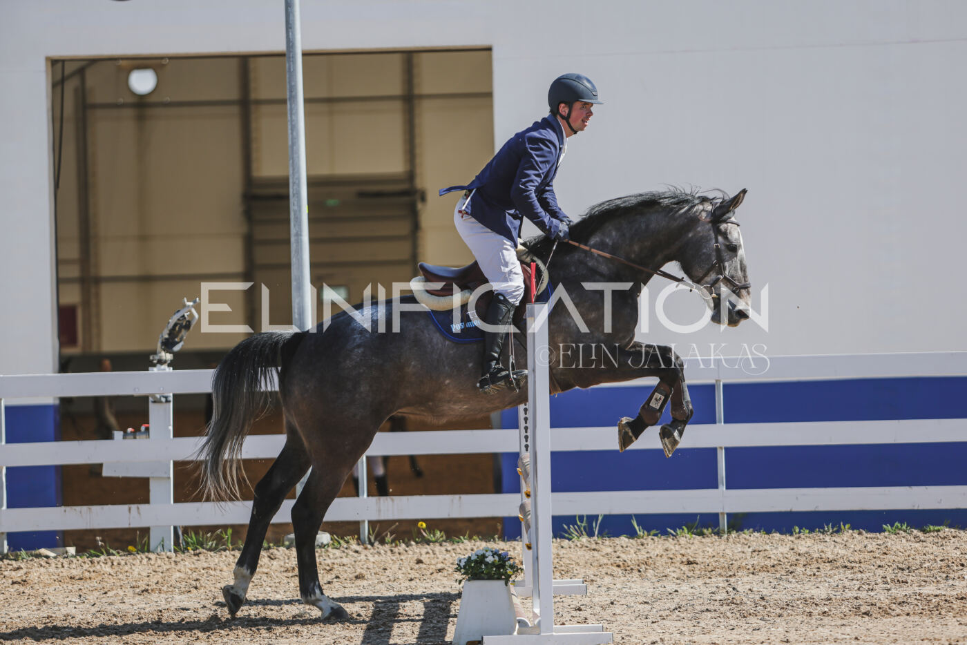 Gramina_Kevad_2026_80_491